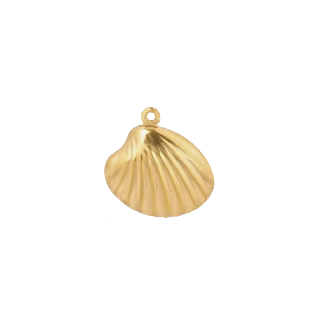 Shell Charm