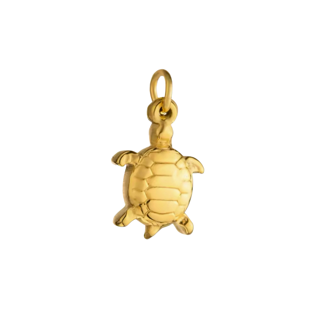 Turtle Charm